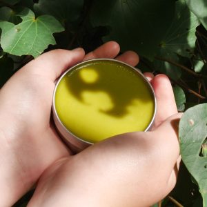 Kawakawa Salve – Head2Toe Healing Balm